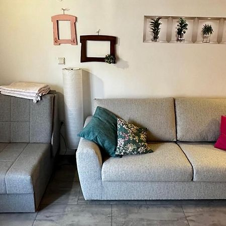 Lara Deluxe Superior 5 Star Apartment, Your Piece Of Heaven By The Sea & Park Novigrad  Bagian luar foto