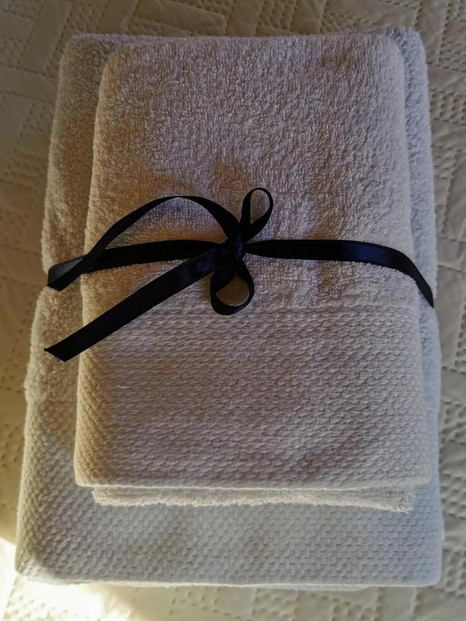 Lara Deluxe Superior 5 Star Apartment, Your Piece Of Heaven By The Sea & Park Novigrad  Bagian luar foto